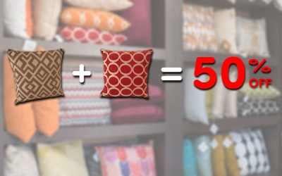 2 Coussins pour le prix de 1