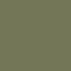 Agave 