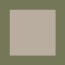 Agave / Canvas Sunbrella 
