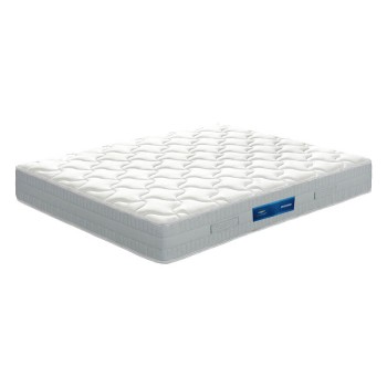 Splendid Mattress