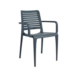 Chaise Park