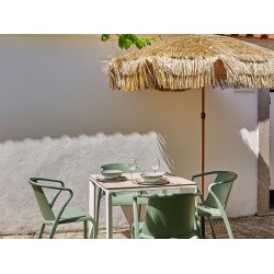 Manila Parasol