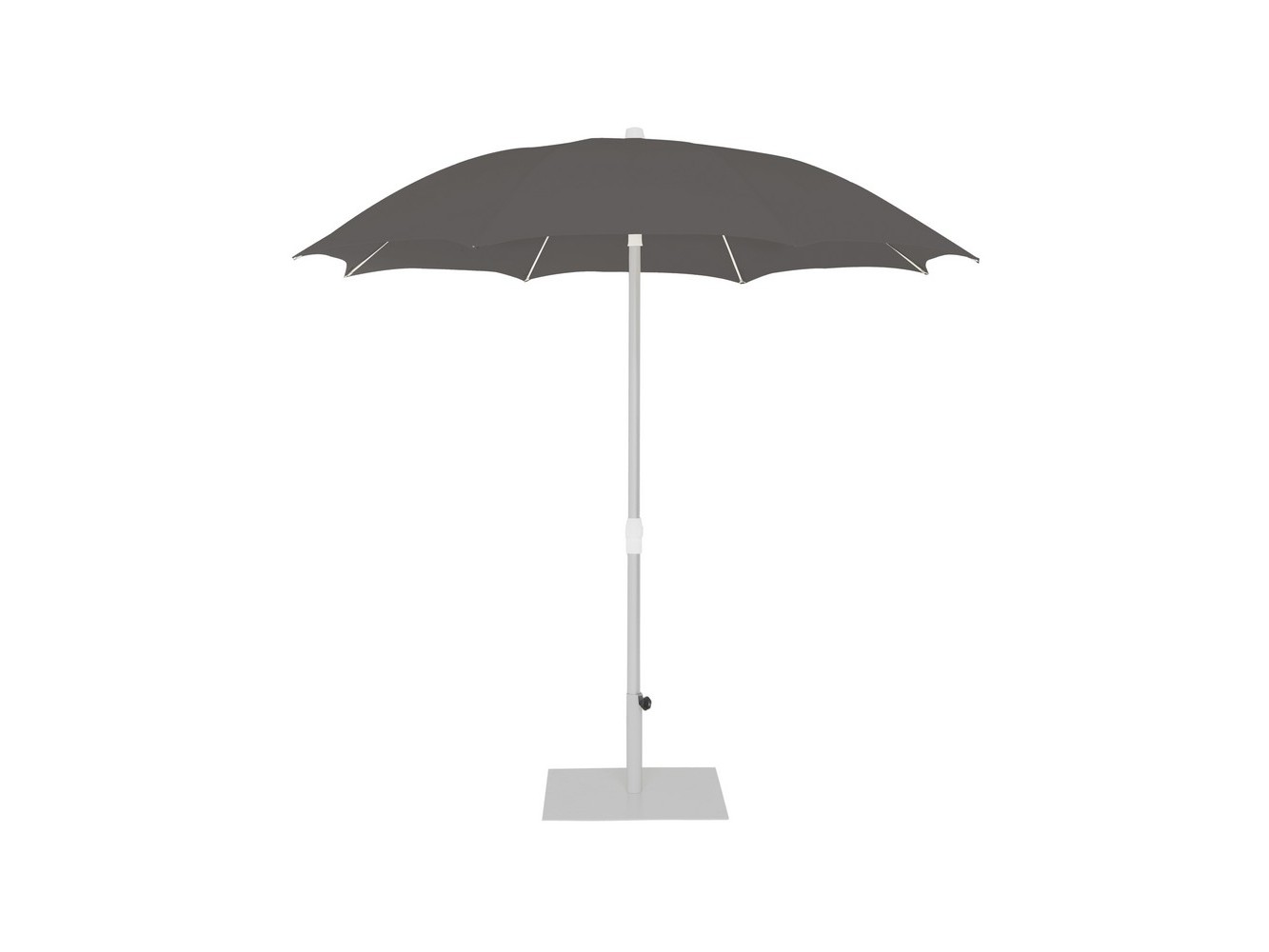 Parasol Palma