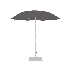 Palma Parasol