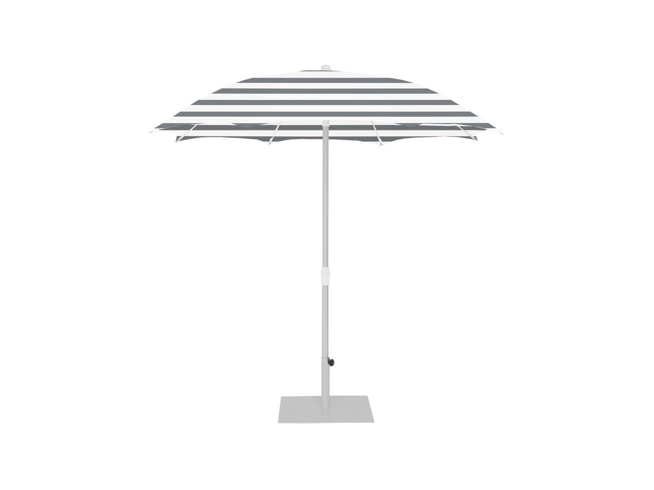 Palma Parasol