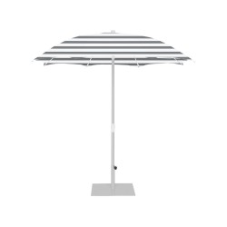 Palma Parasol