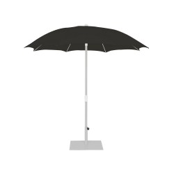 Palma Parasol