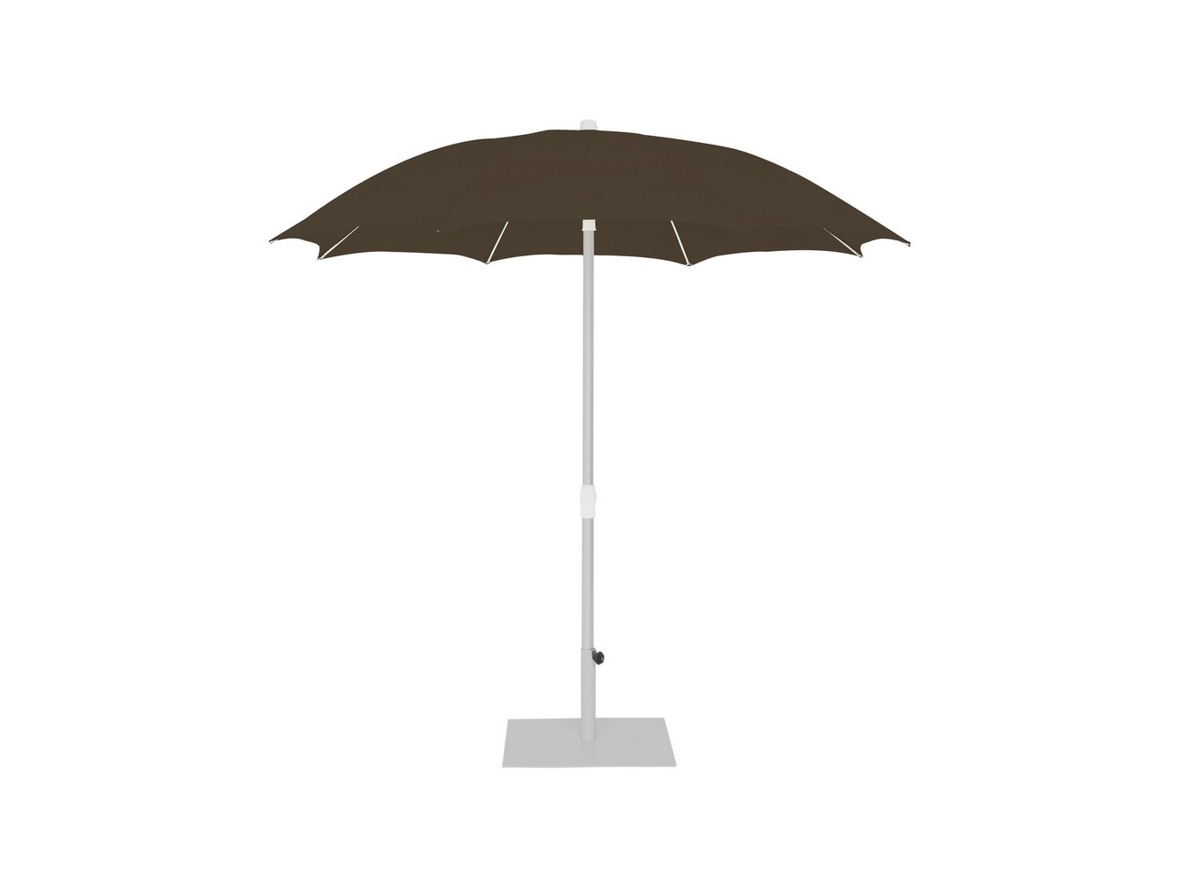 Palma Parasol