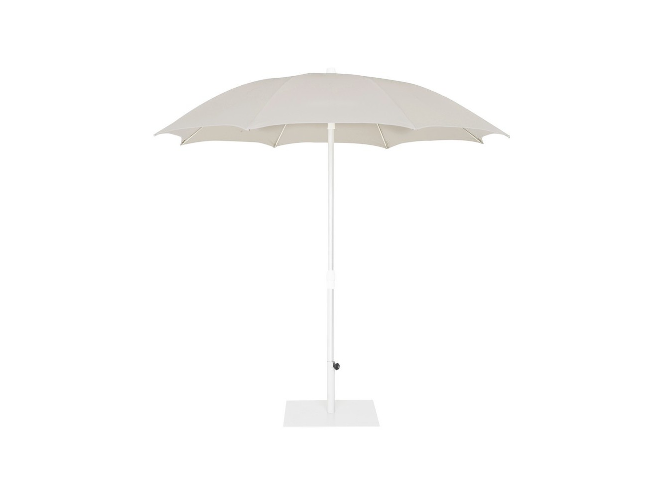 Palma Parasol