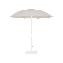 Palma Parasol