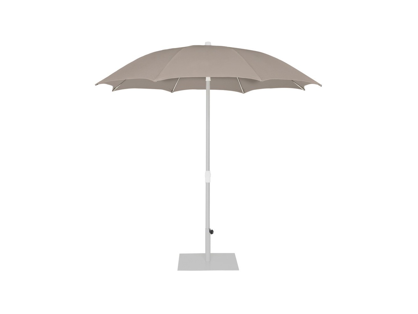 Palma Parasol