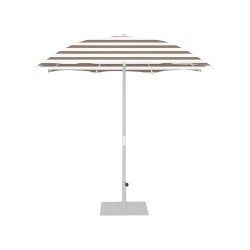 Palma Parasol