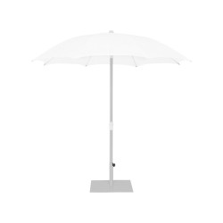 Palma Parasol