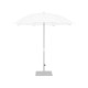 Palma Parasol