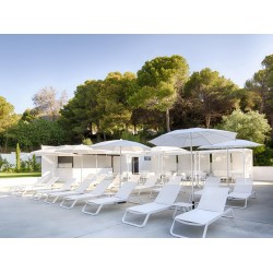 Palma Parasol