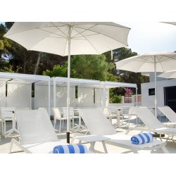 Palma Parasol