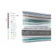 Gomarco Springtop Dual Mattress