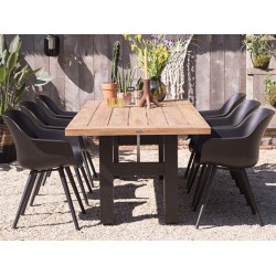 Sophie Studio Armchair