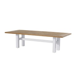 Yasmani Table 300 x 100