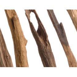Stan Wood Divider