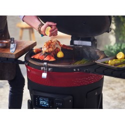 Kamado Joe Joe Conectado
