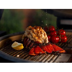 Kamado Joe Big Joe Konnected