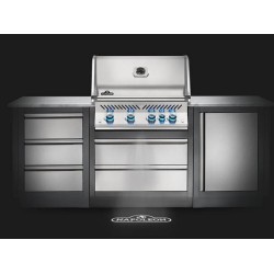 Napoleon Barbacoa Integrada Prestige Pro 500 RB