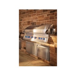Napoleon 42'' x 16'' Small Double Door