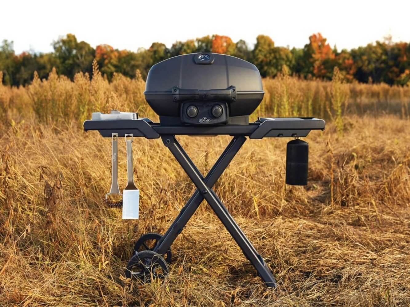 Napoleon Phantom TravelQ Pro285X Gas Grill