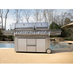 Napoleon Barbacoa de Gas Prestige Pro 825 RSBI