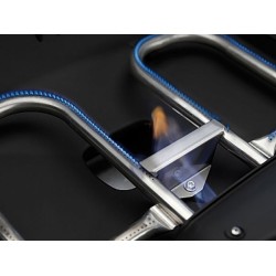 Napoleon Barbacoa de Gas TravelQ Pro285
