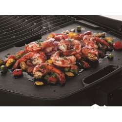 Napoleon Barbacoa Eléctrica TravelQ Pro285E