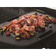 Napoleon TravelQ Pro285E Electric Grill