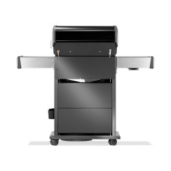 Napoleon Barbacoa de Gas Rogue PRO-S 425 RSIB Negra