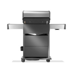 Napoleon Barbacoa de Gas Rogue PRO-S 425 RSIB
