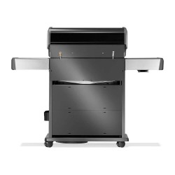 Napoleon Barbacoa de Gas Rogue PRO-S 525 RSIB Negra