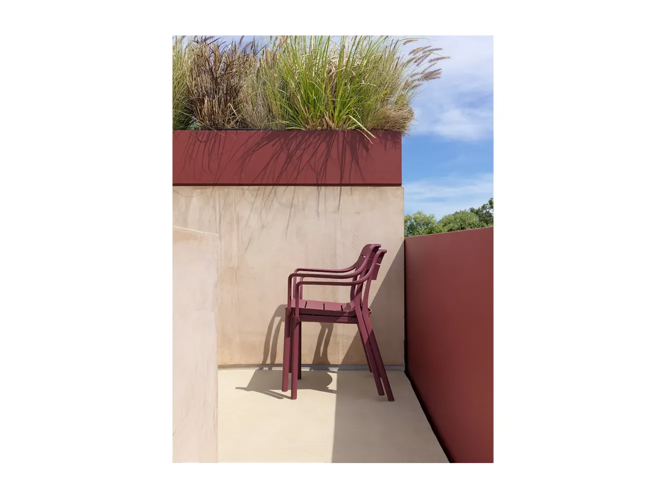 Fauteuil Cassia - BORGOGNA