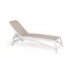 White / Tortora 