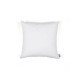 Cushion Passepartout