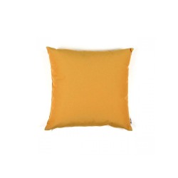 Cushion Passepartout