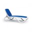 White / Blue 