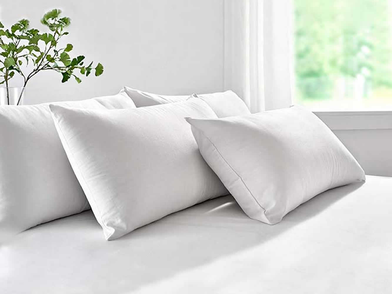 100% Cotton Pillow