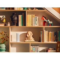 Sonos Roam 2