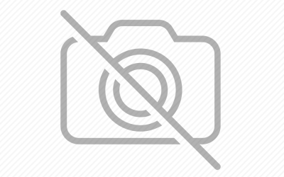 Cuidando tu pozo de fuego al aire libre